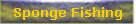 Sponge Fishing